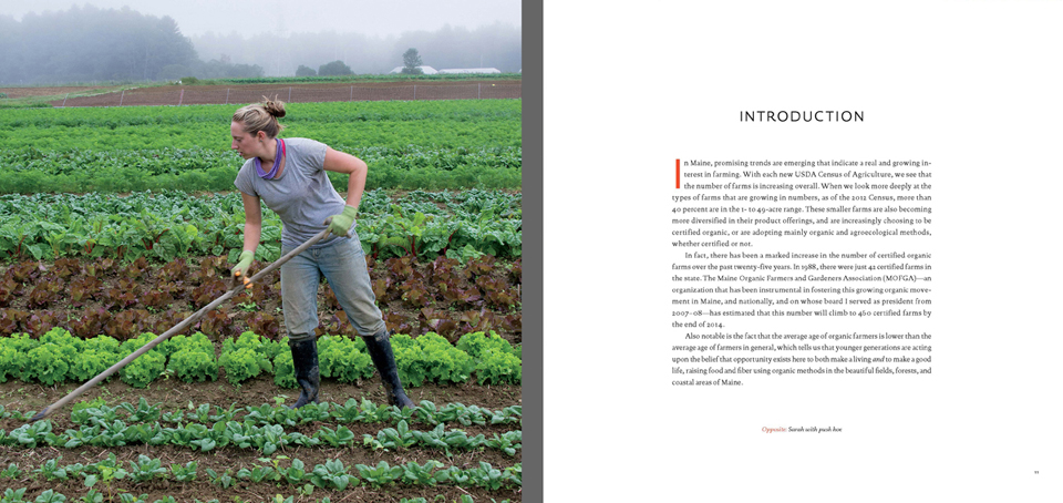 Book Sample: Introduction